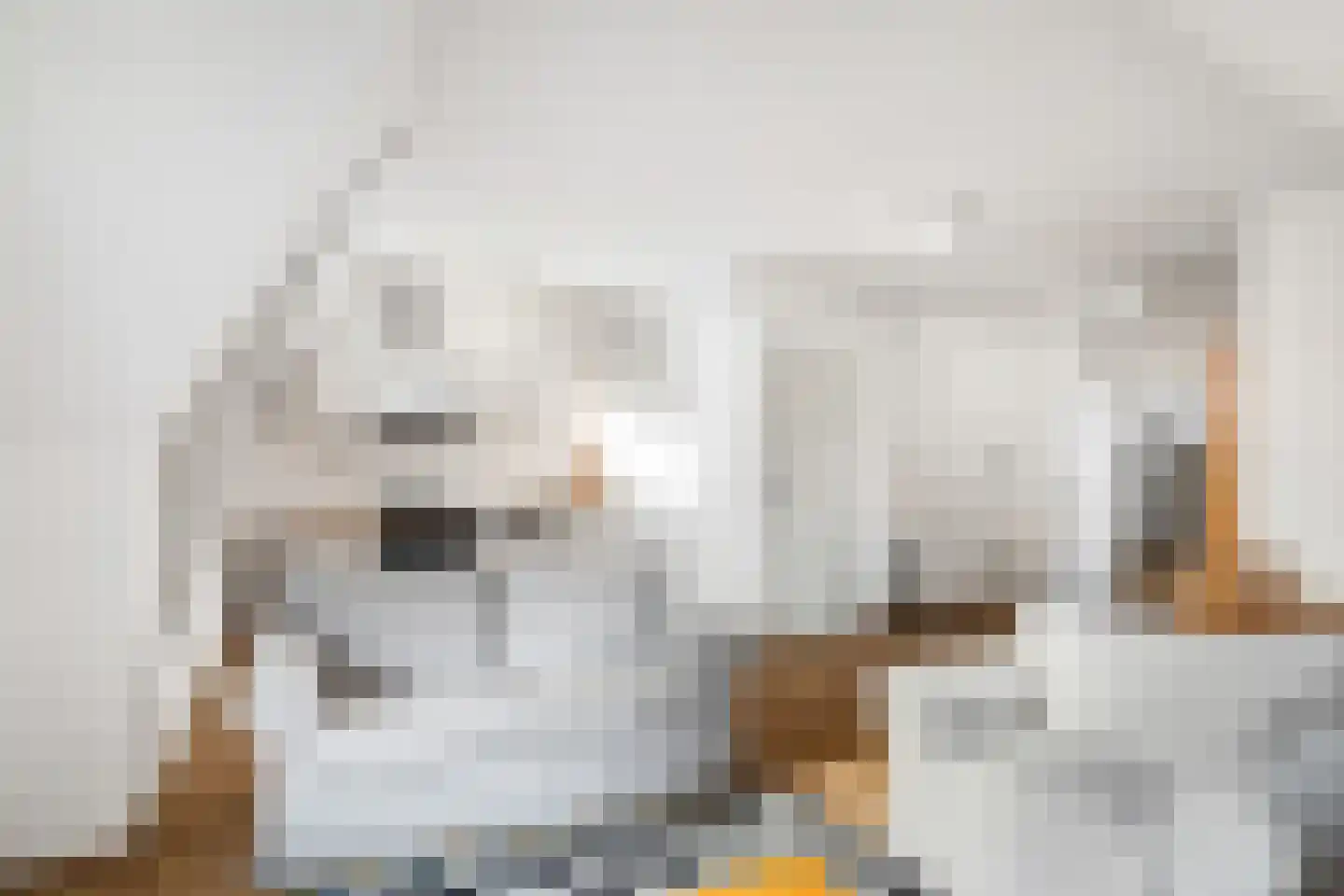Oostzeedijk Beneden 211 B 01 Rotterdam thumbnail 13