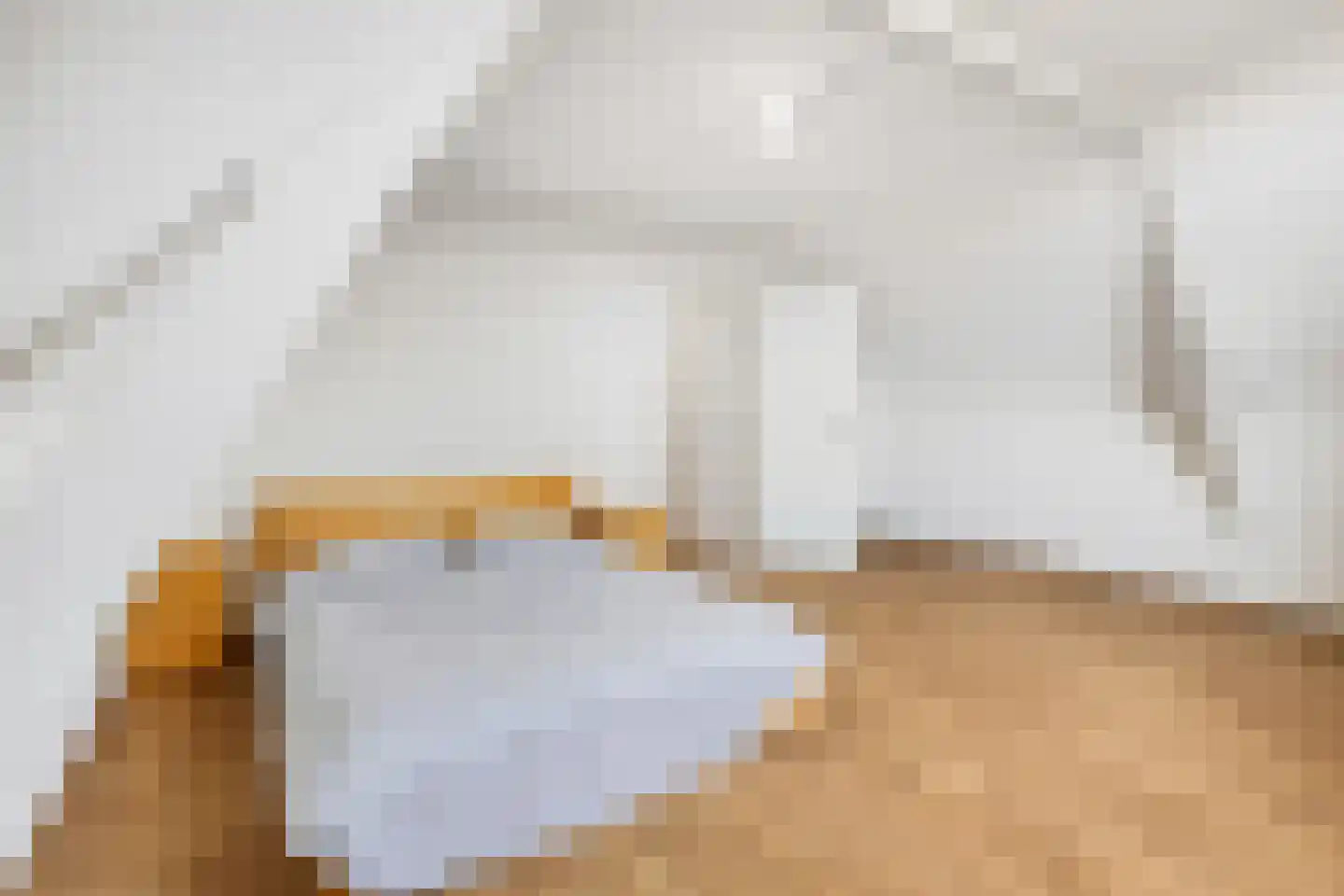 Oostzeedijk Beneden 211 B 01 Rotterdam thumbnail 23
