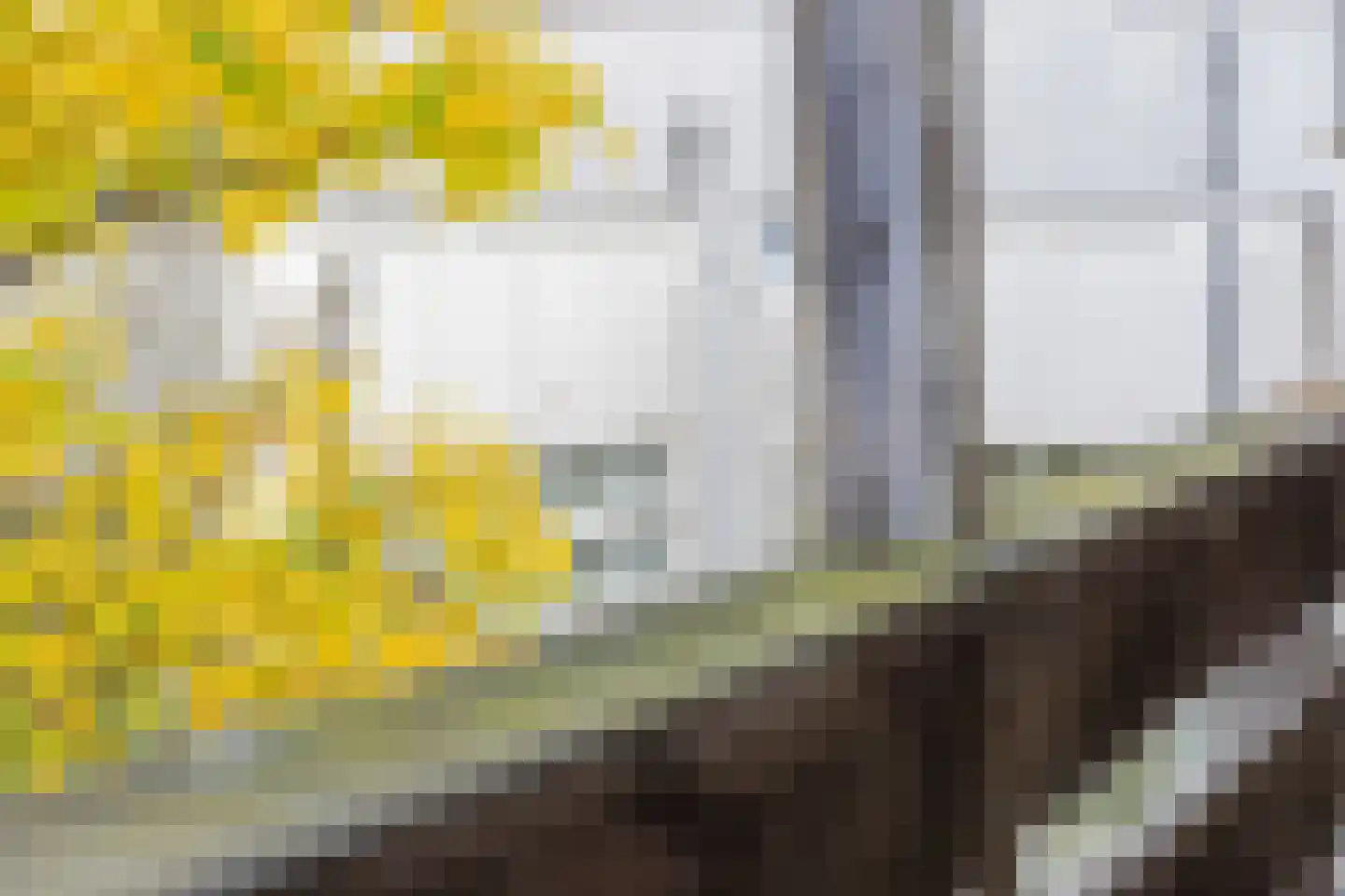 Oostzeedijk Beneden 211 B 02 Rotterdam thumbnail 19