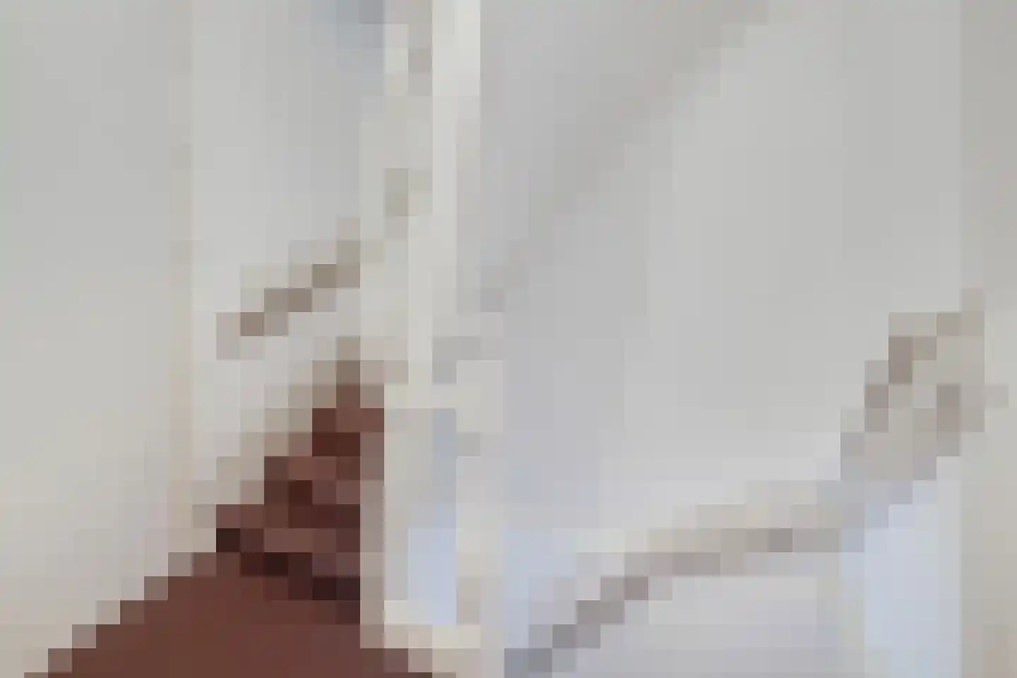 Oostzeedijk Beneden 211 B 02 Rotterdam thumbnail 26