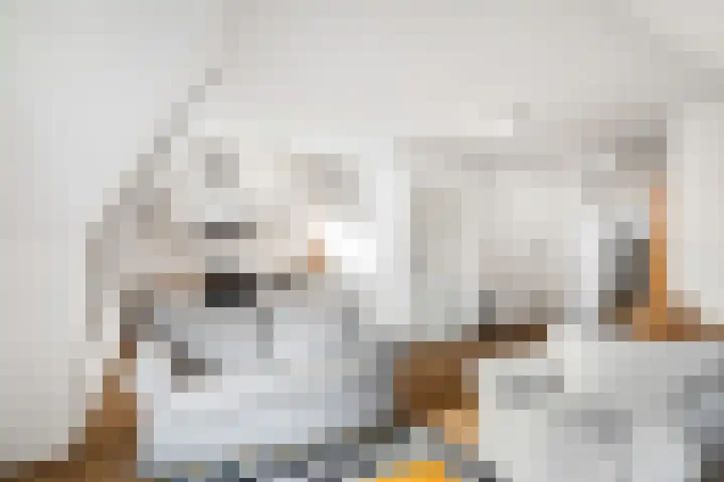 Oostzeedijk Beneden 211 B 02 Rotterdam thumbnail 4