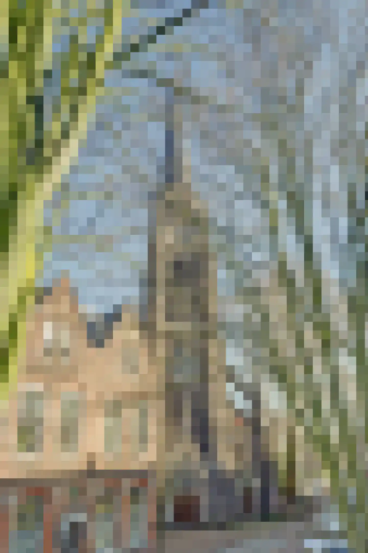 Oostzeedijk Beneden 25 B Rotterdam thumbnail 39