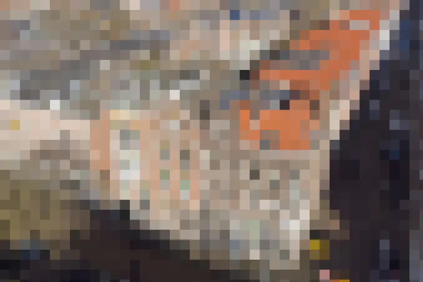 Oostzeedijk Beneden 25 B Rotterdam thumbnail 43