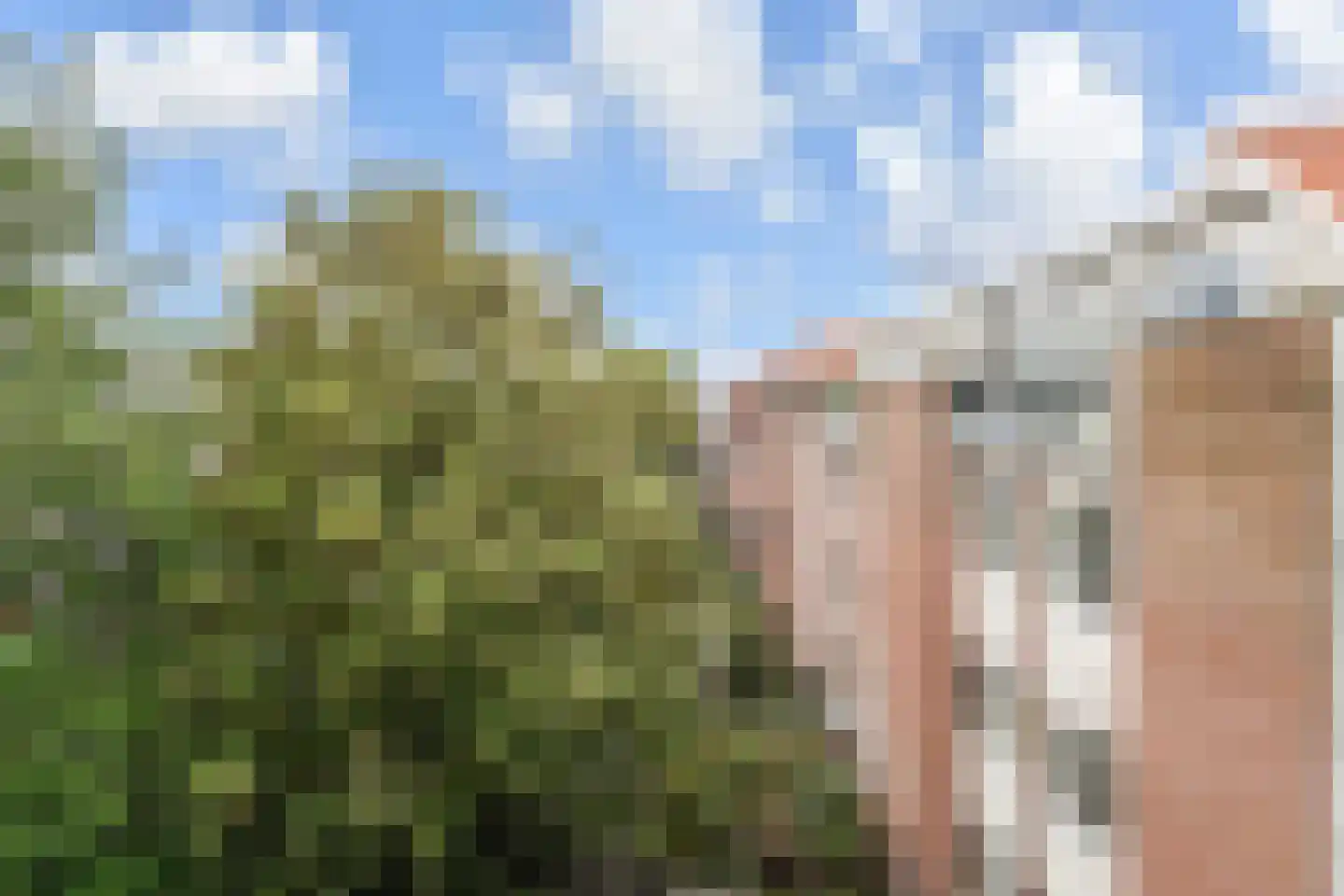 Oostzeedijk Beneden 29 A 02 Rotterdam thumbnail 24