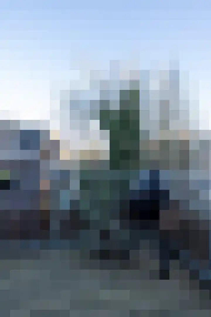 Oostzeedijk Beneden 33 A 01 Rotterdam thumbnail 11