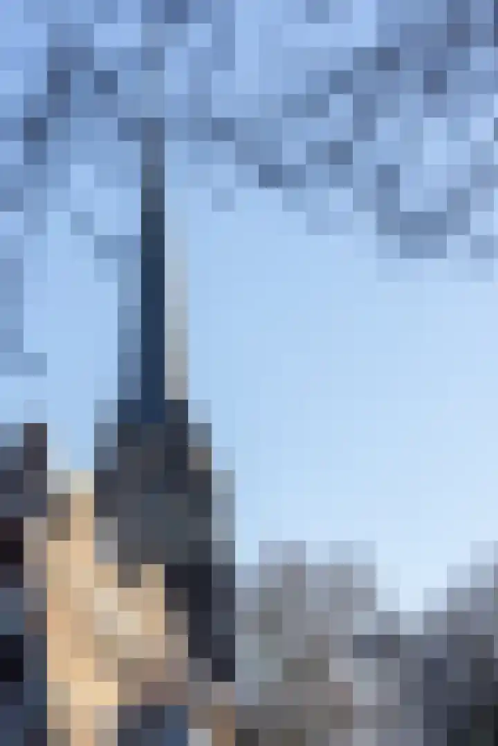 Oostzeedijk Beneden 33 A 01 Rotterdam thumbnail 31
