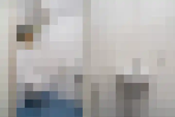 Oostzeedijk Beneden 35 C 02 Rotterdam thumbnail 13