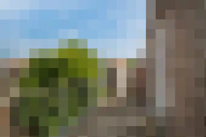 Oostzeedijk Beneden 35 C 02 Rotterdam thumbnail 18