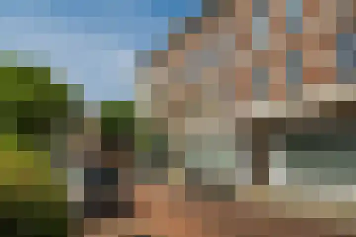 Oostzeedijk Beneden 35 C 02 Rotterdam thumbnail 20