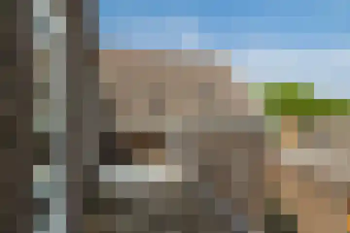 Oostzeedijk Beneden 35 C 02 Rotterdam thumbnail 4