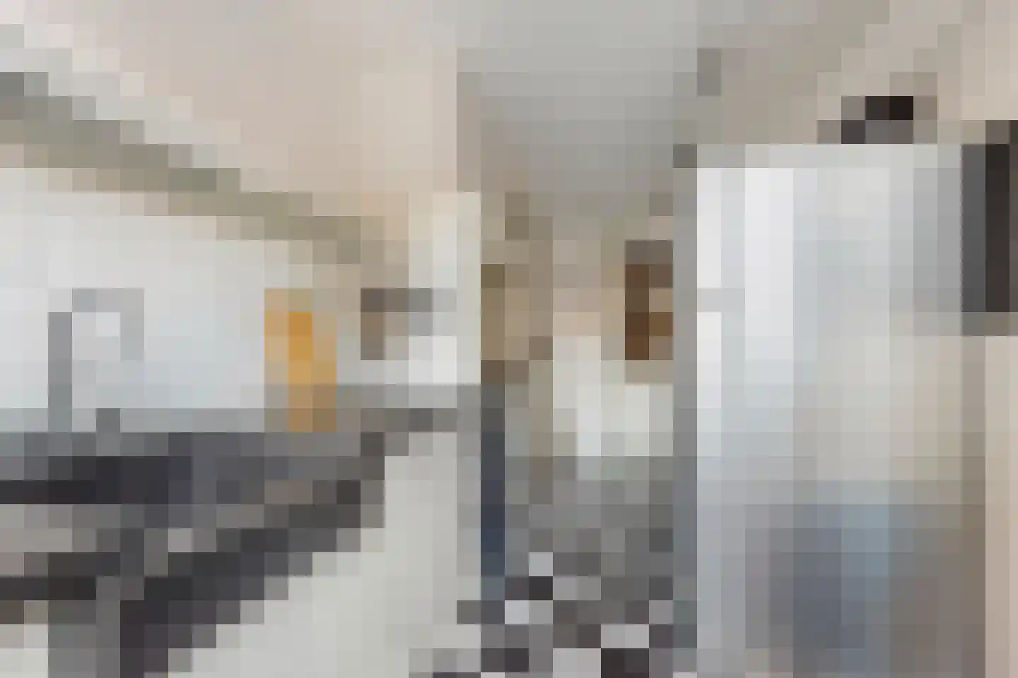 Oostzeedijk Beneden 71 B Rotterdam thumbnail 18