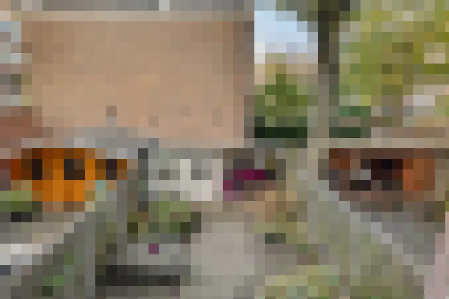 Oostzeedijk Beneden 71 B Rotterdam thumbnail 20