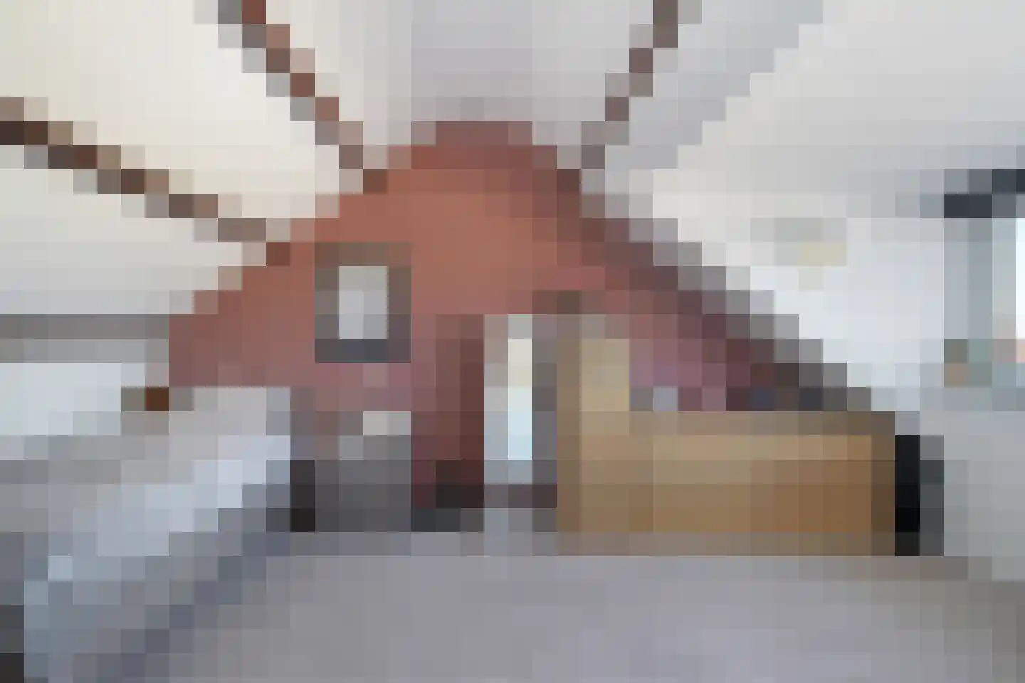 Oostzeestraat 10 Oost-Souburg thumbnail 26