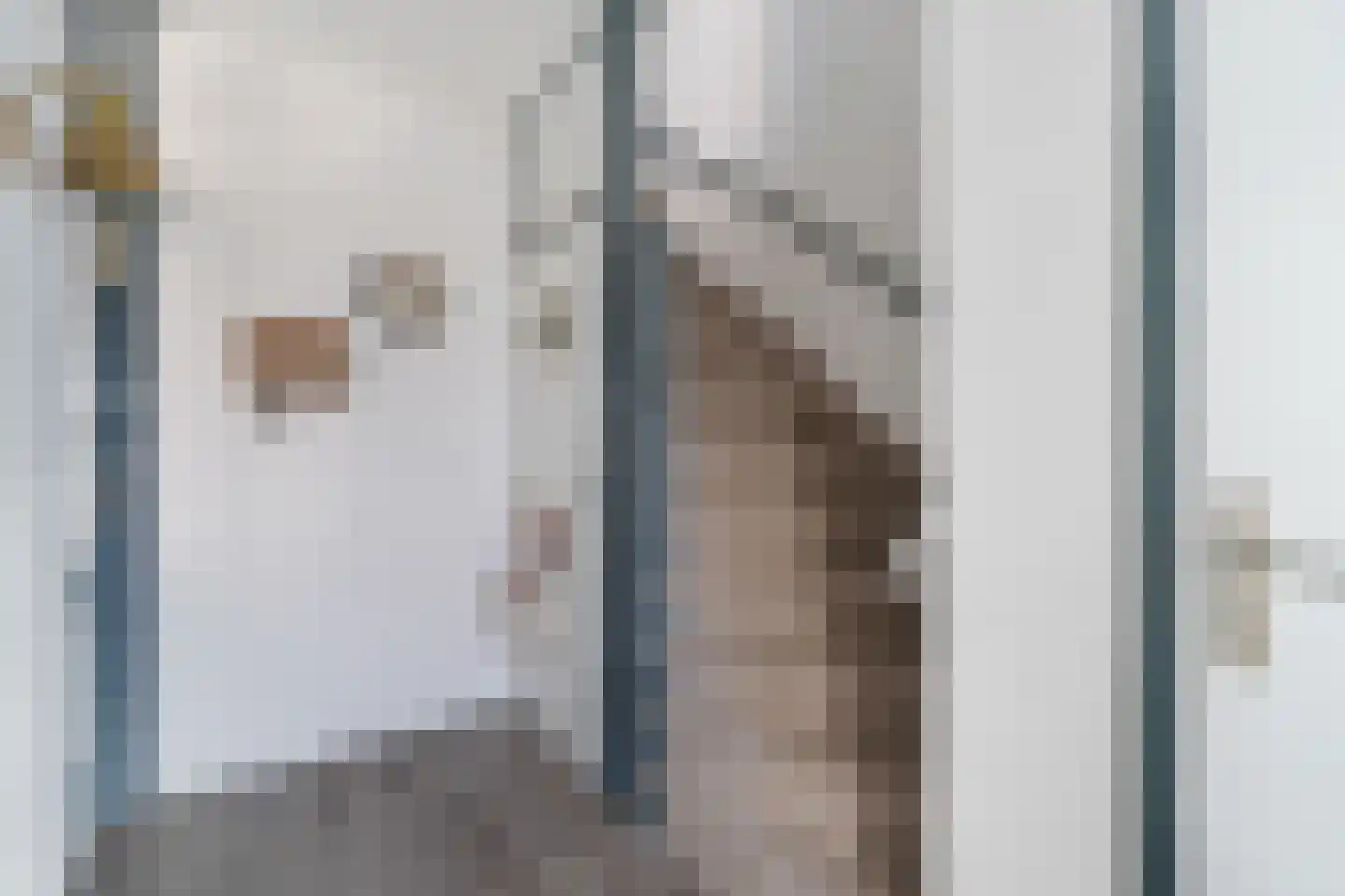 Oostzeestraat 10 Oost-Souburg thumbnail 7