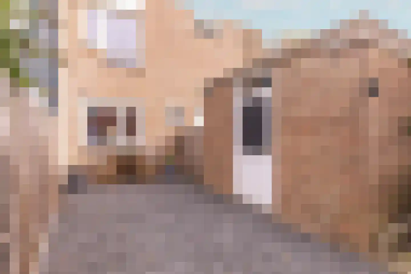 Oostzeestraat 102 Lelystad thumbnail 31