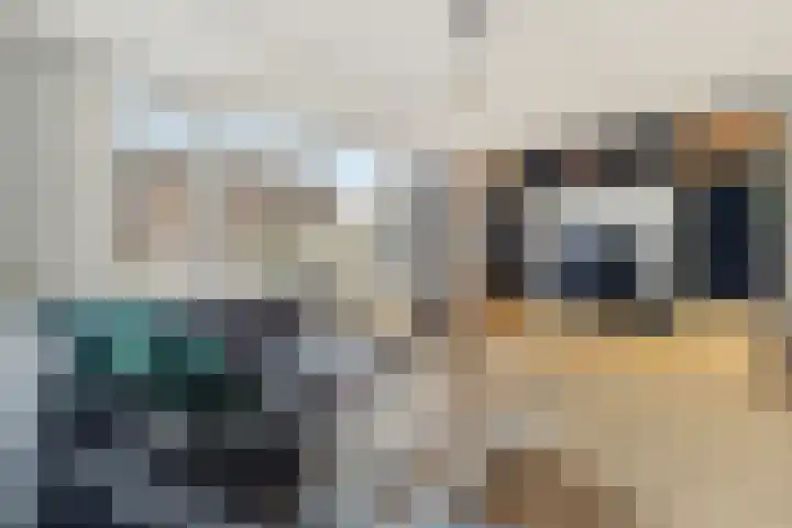 Oostzeestraat 175 Lelystad thumbnail 6