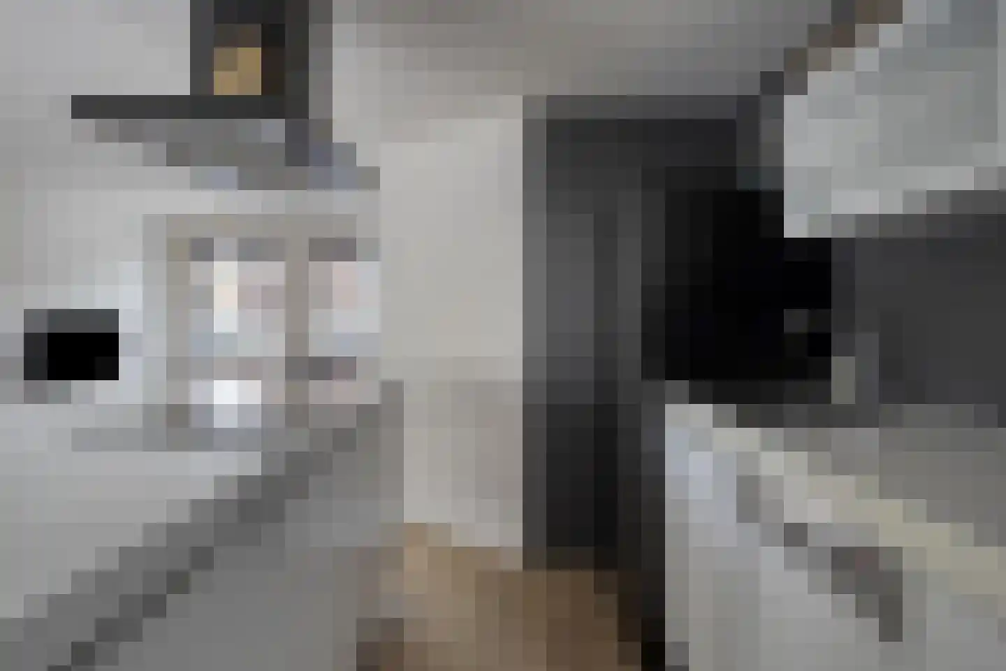 Oostzeestraat 25 Kampen thumbnail 10