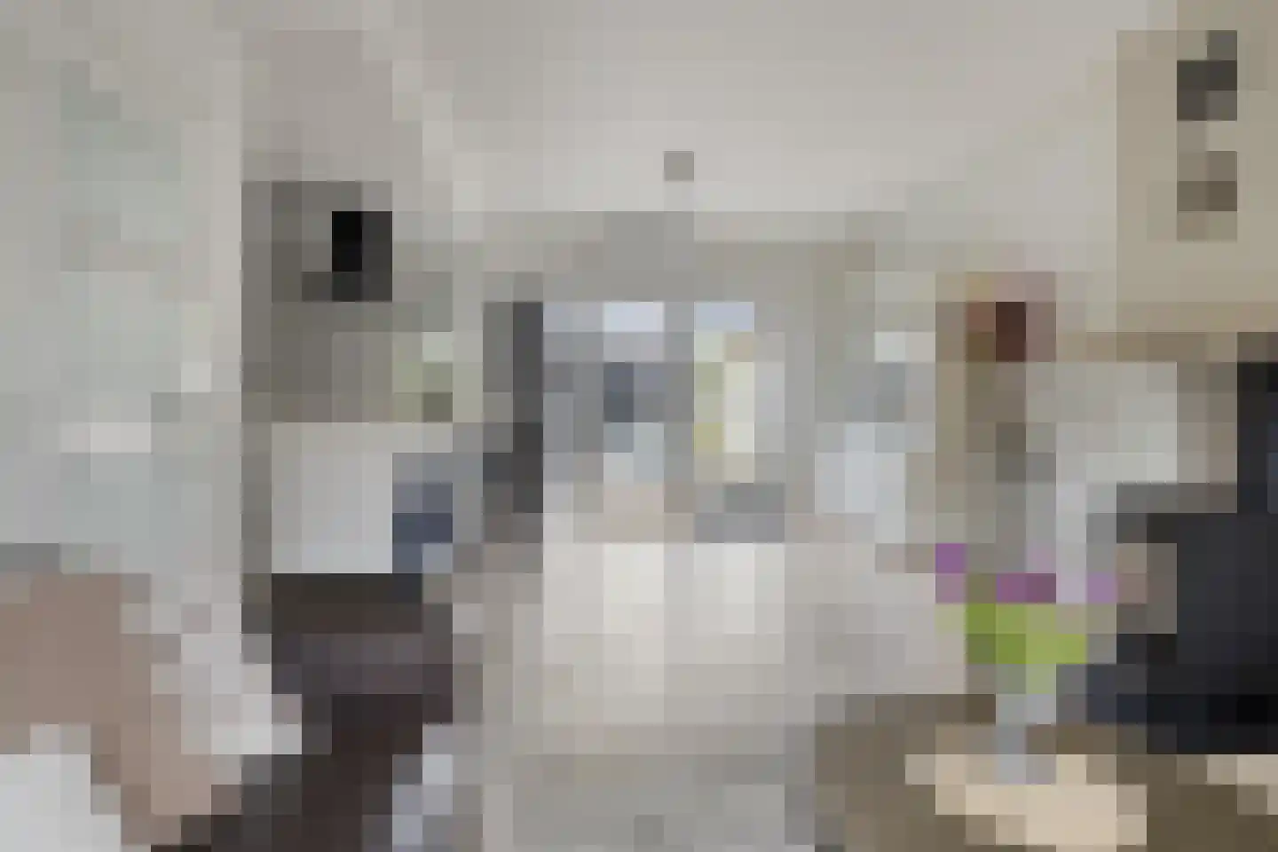 Oostzeestraat 25 Kampen thumbnail 6
