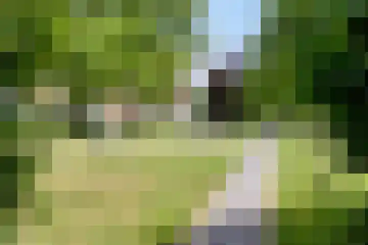 Oostzeestraat 33 Kampen thumbnail 43