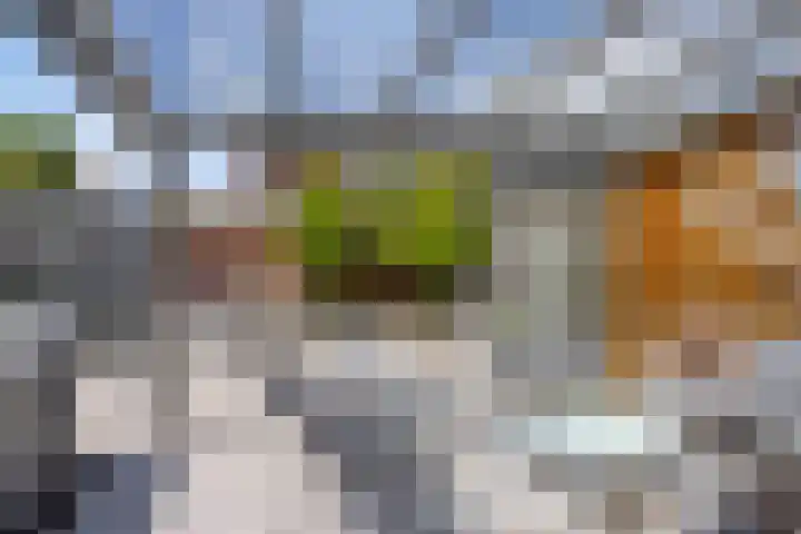 Oostzeestraat 33 Kampen thumbnail 5