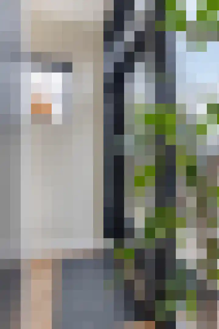 Oostzijde 126 Zaandam thumbnail 10