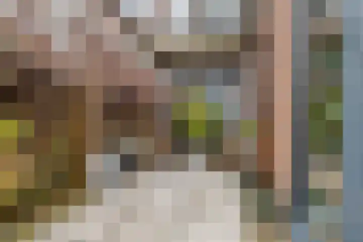 Oostzijde 126 Zaandam thumbnail 35