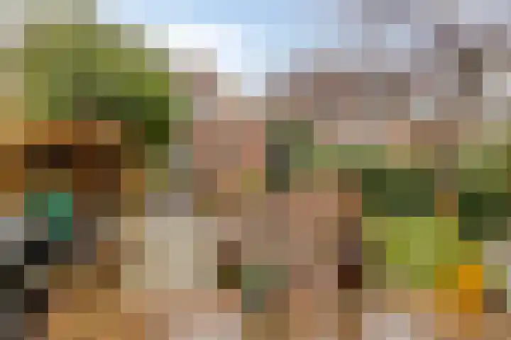 Oostzijde 126 Zaandam thumbnail 39
