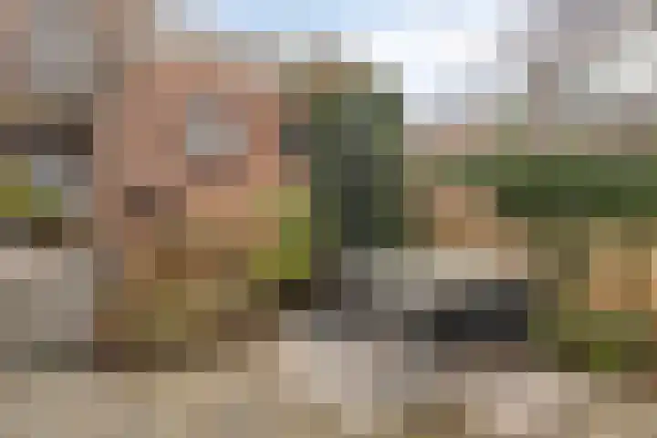 Oostzijde 126 Zaandam thumbnail 40