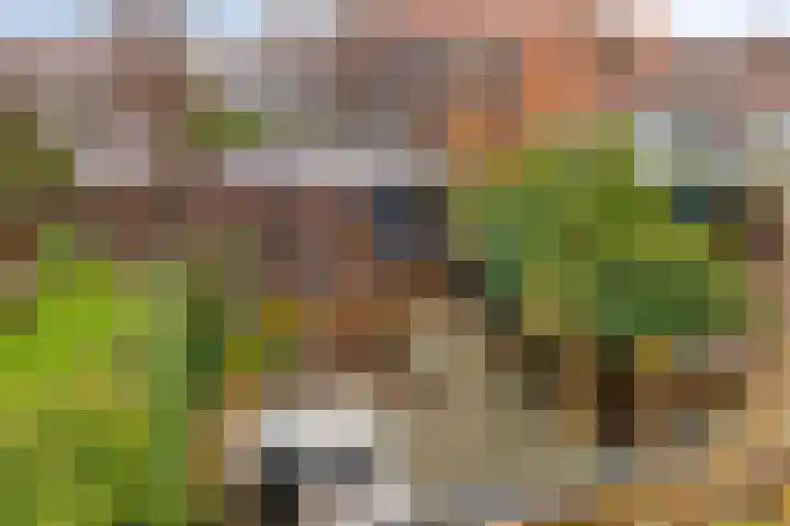 Oostzijde 126 Zaandam thumbnail 42