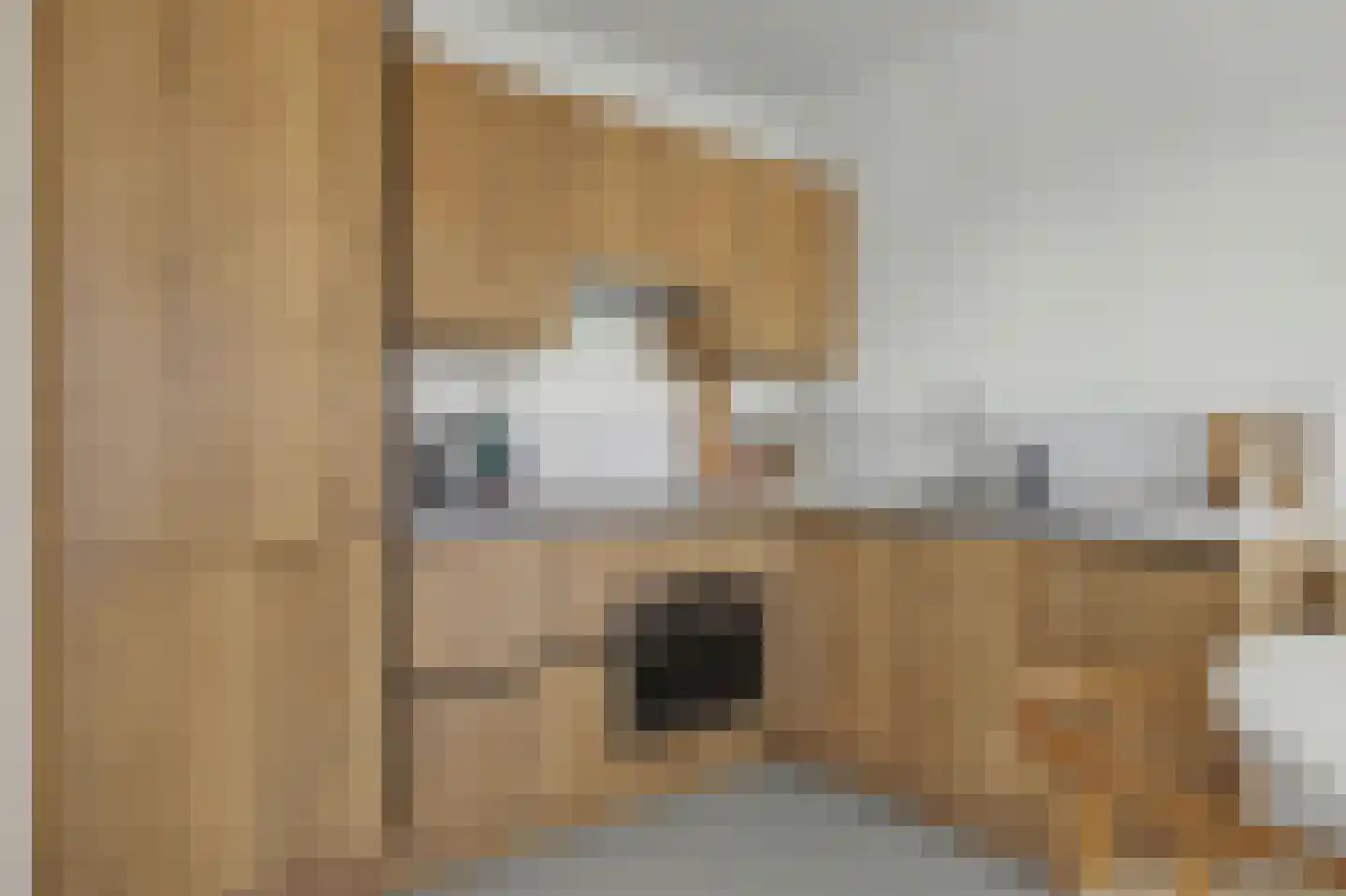 Oostzijde 134 C Zaandam thumbnail 16