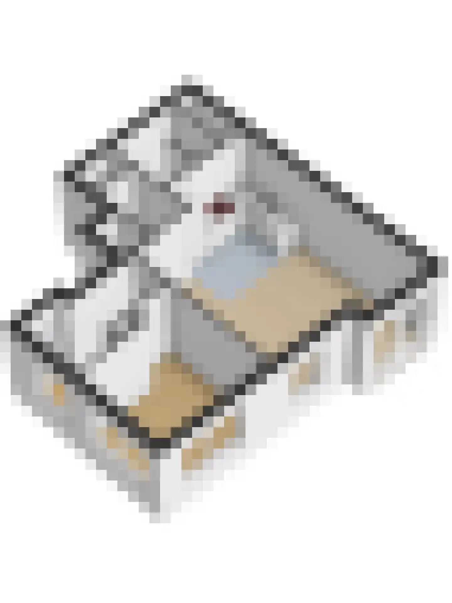Oostzijde 134 C Zaandam thumbnail 33