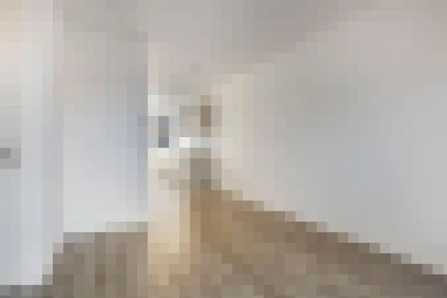 Oostzijde 134 D Zaandam thumbnail 11