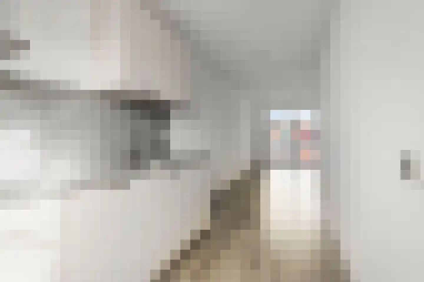 Oostzijde 134 D Zaandam thumbnail 8