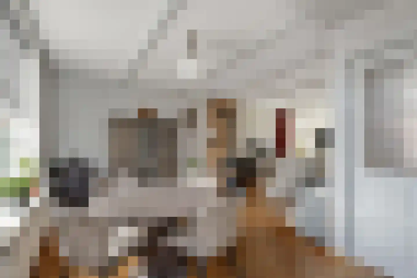 Oostzijde 136 B Zaandam thumbnail 8