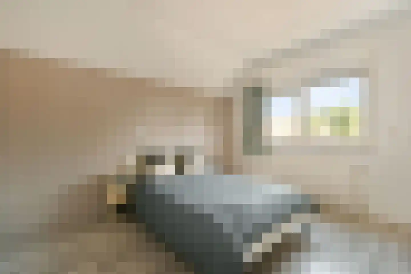 Oostzijde 211 C Zaandam thumbnail 13