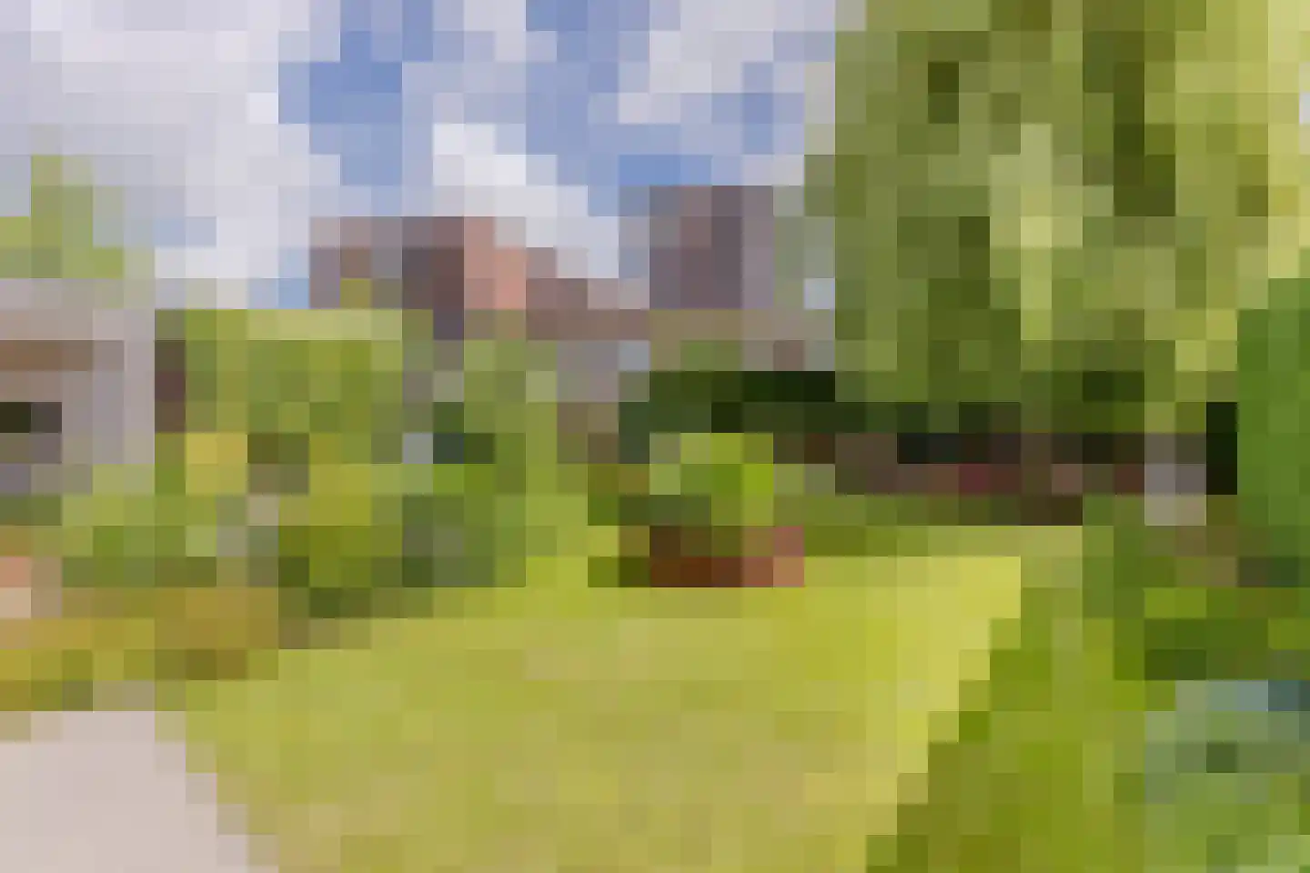 Oostzijde 238 C Zaandam thumbnail 14