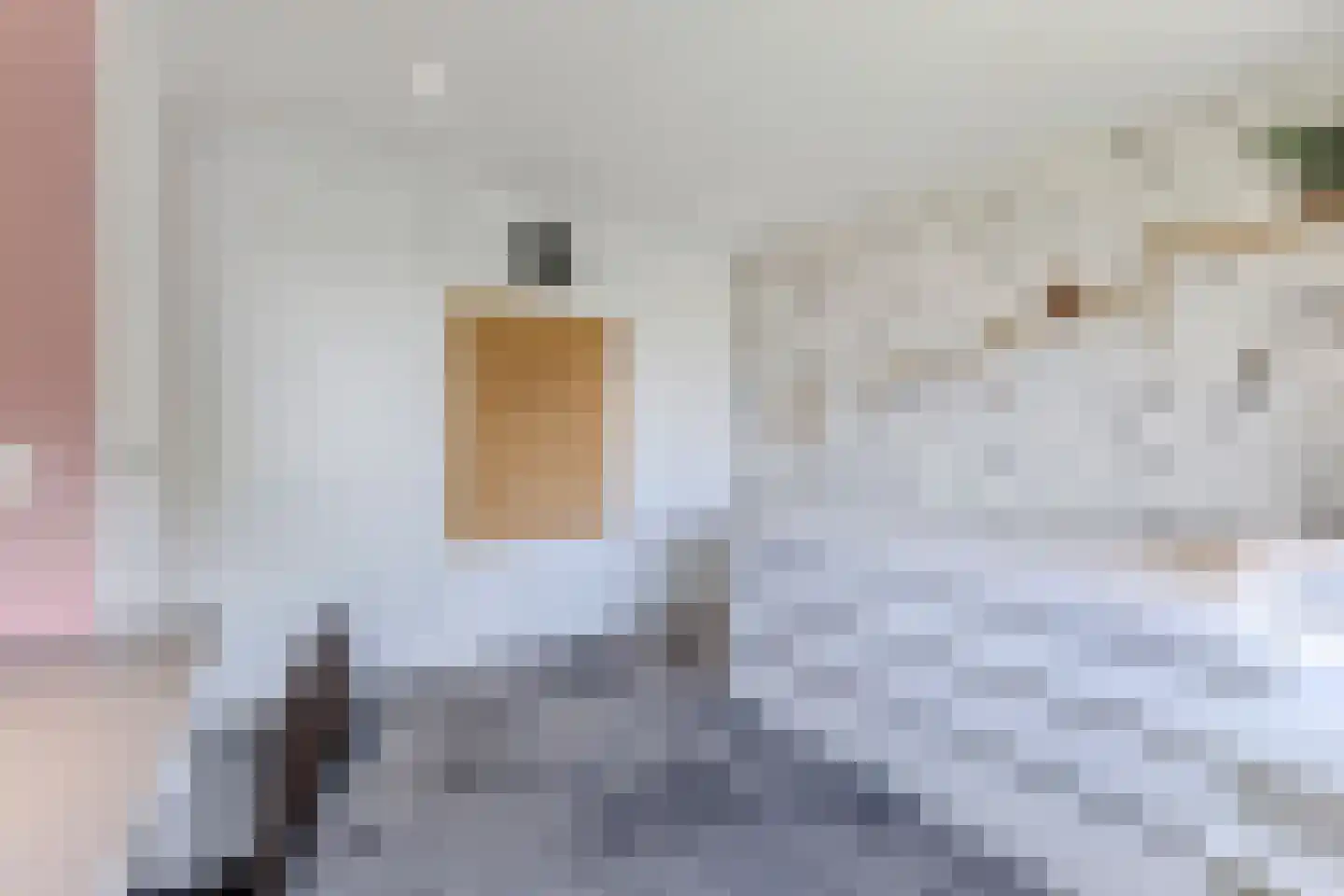 Oostzijde 238 C Zaandam thumbnail 16
