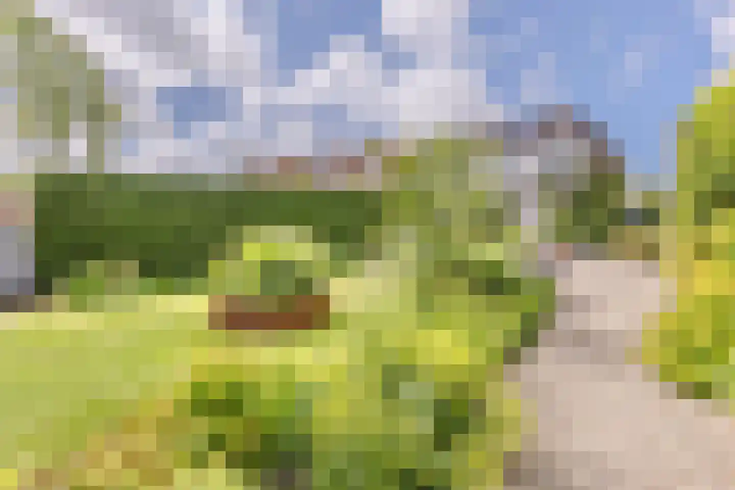 Oostzijde 238 C Zaandam thumbnail 30