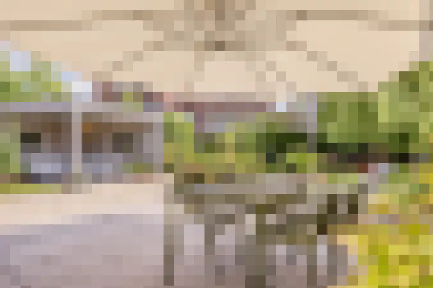Oostzijde 238 C Zaandam thumbnail 31