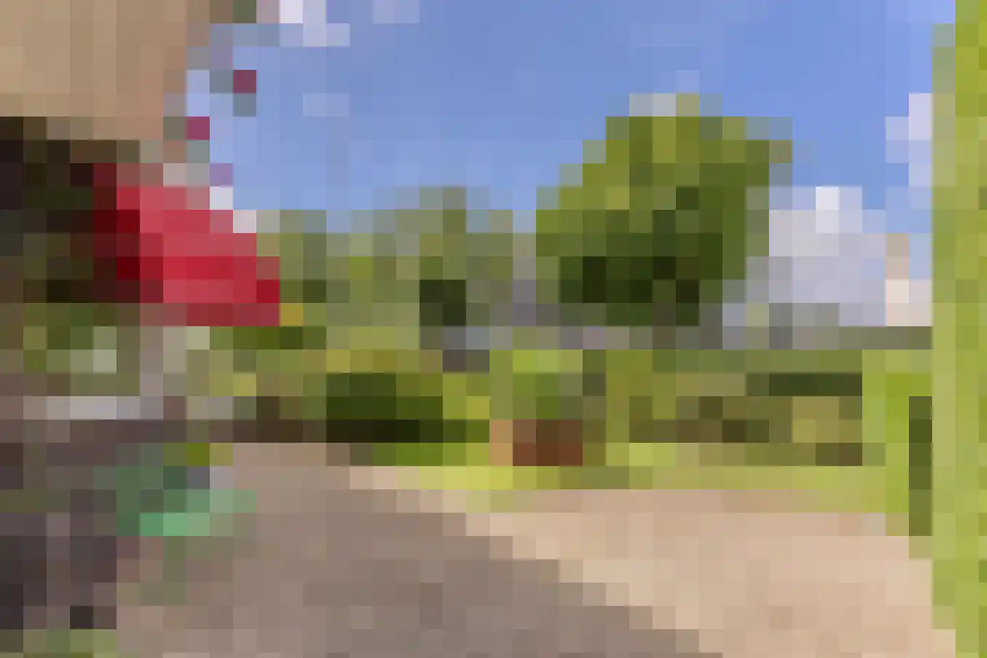 Oostzijde 238 C Zaandam thumbnail 44