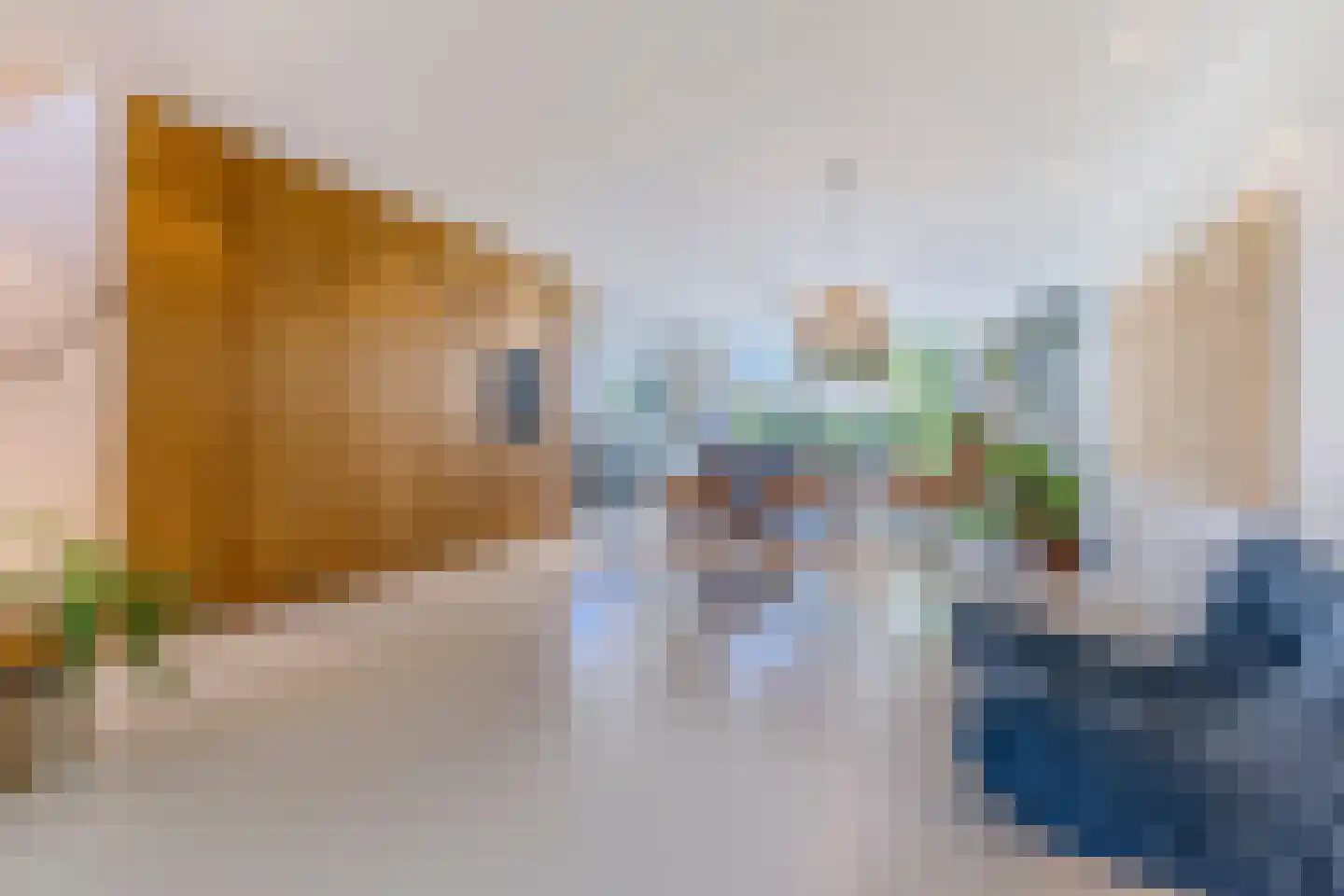 Oostzijde 238 C Zaandam thumbnail 5