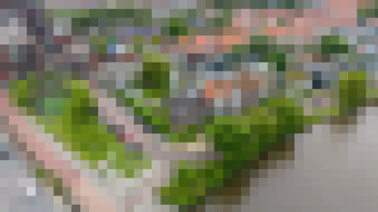 Oostzijde 238 C Zaandam thumbnail 50