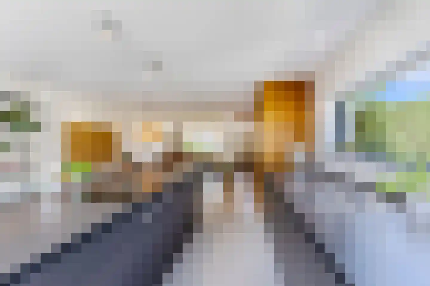 Oostzijde 238 C Zaandam thumbnail 8