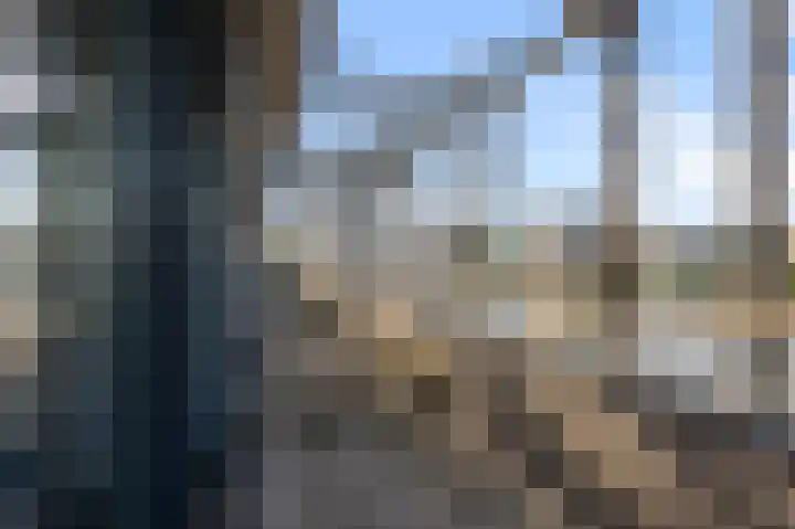 Oostzijde 249 Zaandam thumbnail 30