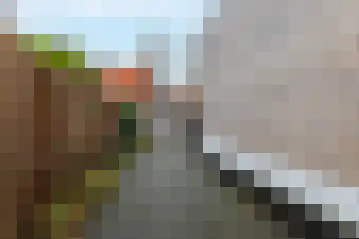 Oostzijde 252 C Zaandam thumbnail 4
