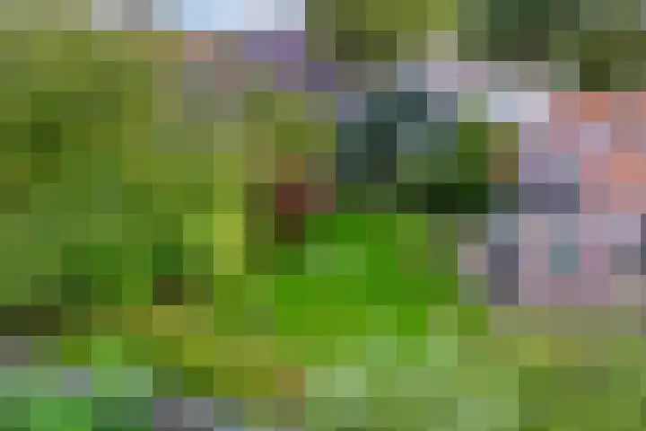 Oostzijde 268 B Zaandam thumbnail 51