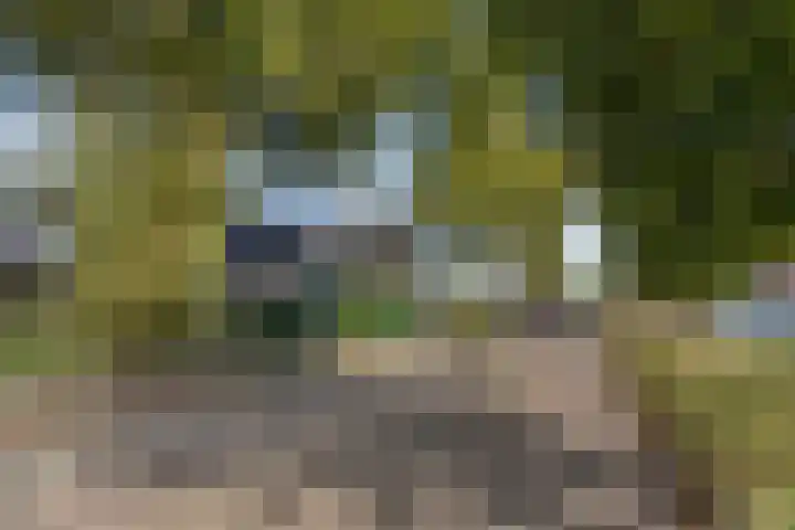 Oostzijde 268 B Zaandam thumbnail 6