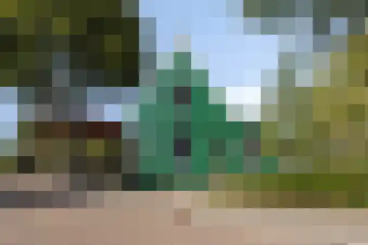 Oostzijde 268 B Zaandam thumbnail 7