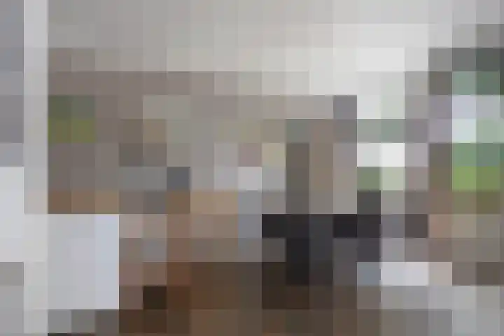 Oostzijde 94 D Zaandam thumbnail 15