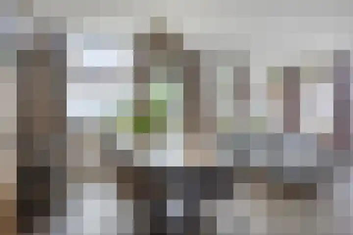 Oostzijde 94 D Zaandam thumbnail 16